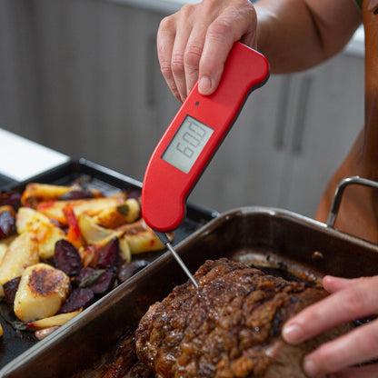 Thermapen®One
